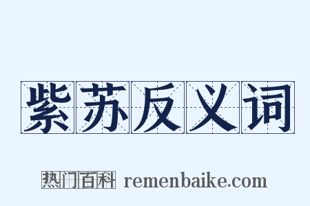 紫苏反义词是什么意思的图片